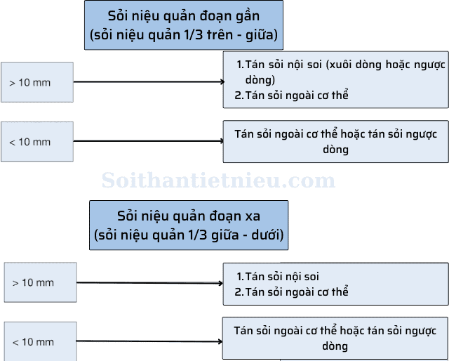 điều trị sỏi thận tiết niệu